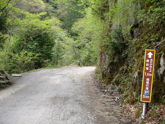 ����X�ѓS�����J���u��1�������[�Ǖ��v