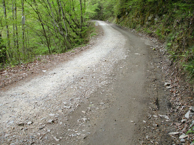 ����X�ѓS�����J���u��1�������[�Ǖ��v