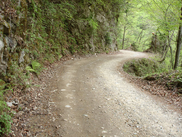 ����X�ѓS�����J���u��1�������[�Ǖ��v