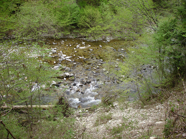 ����X�ѓS�����J���u��1�������[�Ǖ��v