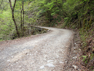 ����X�ѓS�����J���u��1�������[�Ǖ��v