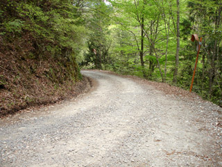 ����X�ѓS�����J���u��1�������[�Ǖ��v