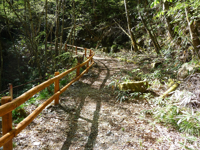 ����X�ѓS�����J���u��1�������[�Ǖ��v