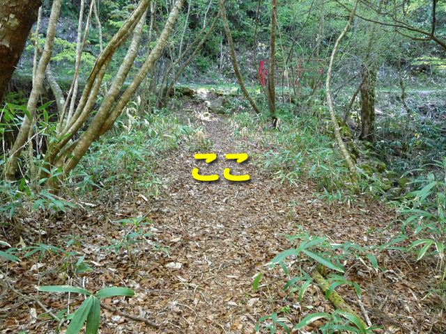 ����X�ѓS�����J��,���J��2������