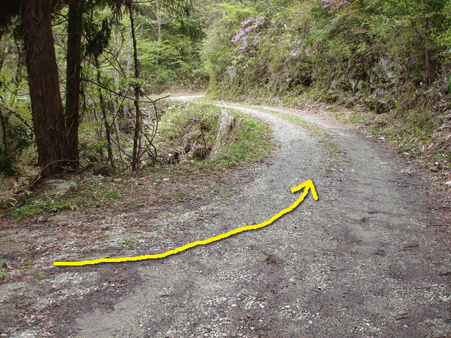 ����X�ѓS�����J���u���J��2�������[�Ǖ��v