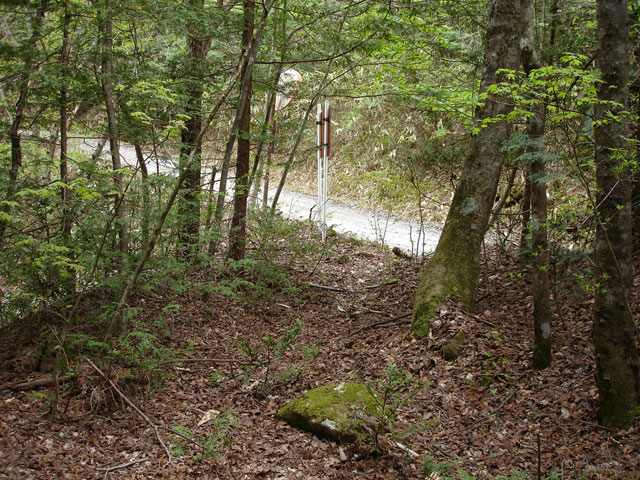 ����X�ѓS�����J���u���J��2�������[�Ǖ��v