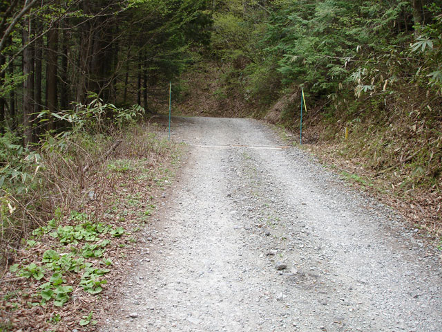 ����X�ѓS�����J���u���J��2�������[�Ǖ��v