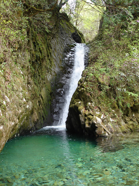 ����X�ѓS��,���J,�������˂Ƃ�,��,���J