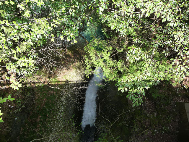 ����X�ѓS��,���J,�������˂Ƃ�,��,���J