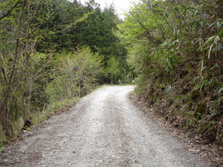 ����X�ѓS�����J���u���J��2�������[�Ǖ��v