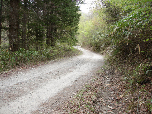 ����X�ѓS�����J���u���J��2�������[�Ǖ��i���J������j�v