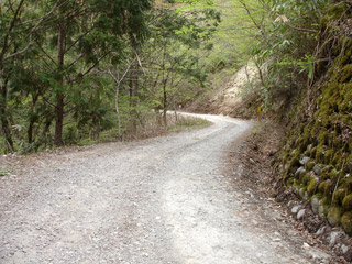 ����X�ѓS�����J���u���J����[�Ǖ��v