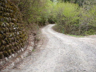 ����X�ѓS�����J���u���J����[�Ǖ��v