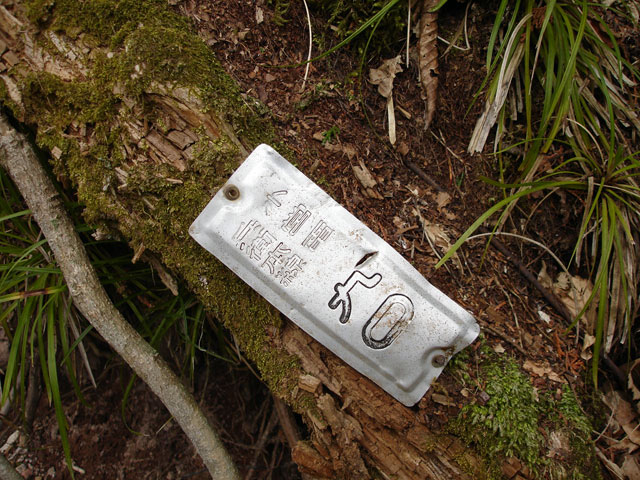 ����X�ѓS�����J���u���J����[�Ǖ��v