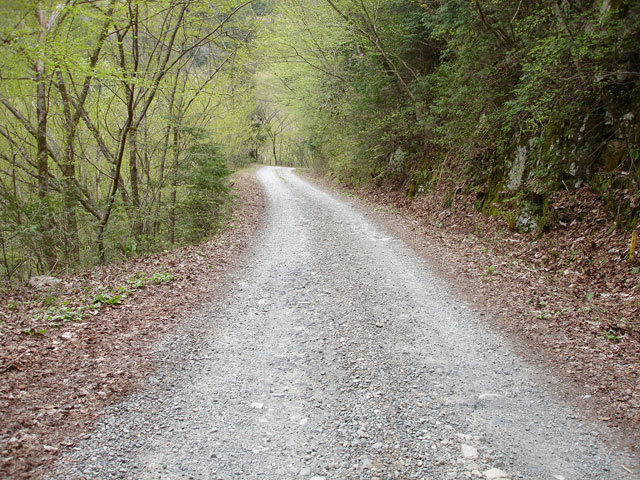 ����X�ѓS�����J���u���J����[�Ǖ��v