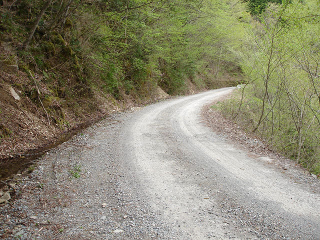 ����X�ѓS�����J���u���J������v