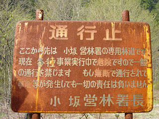 ����X�ѓS�����J���u���J����[�Ǖ��v