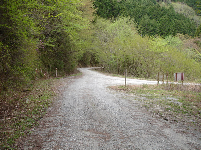 ����X�ѓS�����J���u���J����[�Ǖ��v